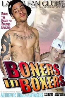Póster de la película Boners In Boxers