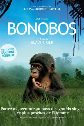 Póster de Bonobos