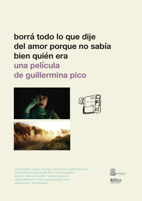 Póster de Borrá todo lo que dije del amor porque no sabía bien quién era