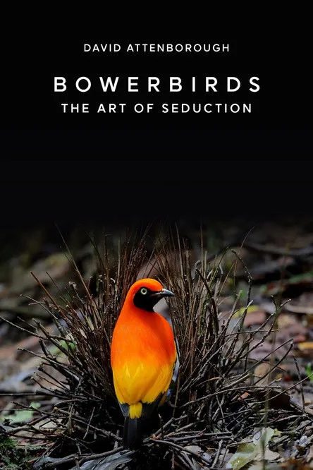 Póster de la película Bowerbirds: The Art of Seduction
