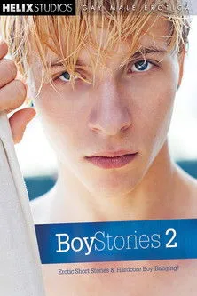 Póster de Boy Stories 2