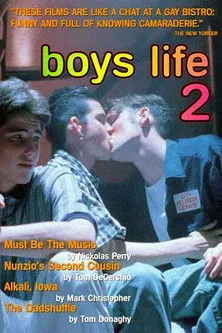 Póster de Boys Life 2