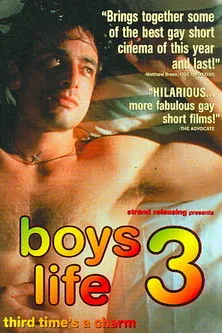 Póster de Boys Life 3