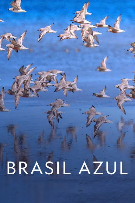 Portada de Brasil Azul