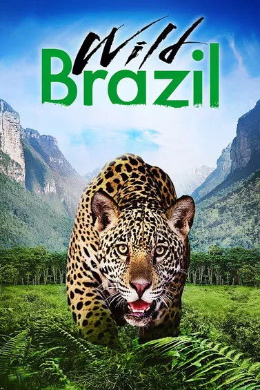 Póster de Brasil salvaje