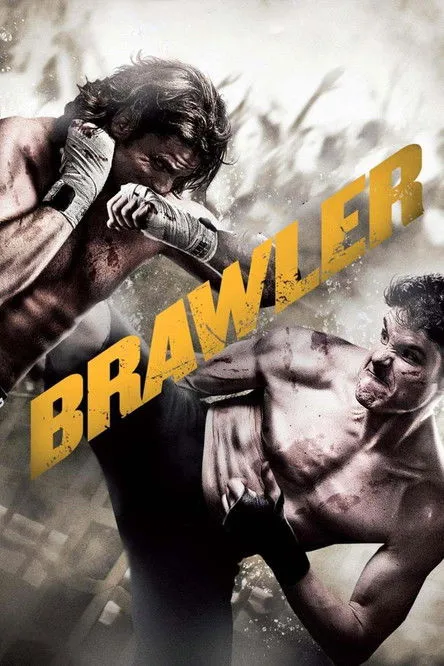 Póster de Brawler