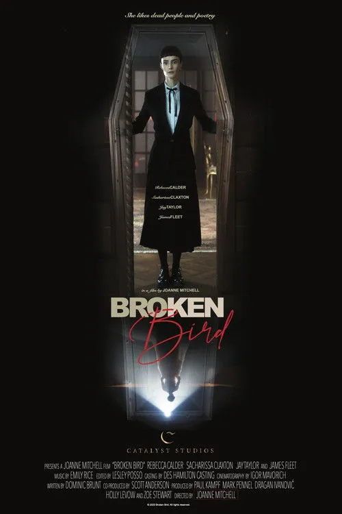 Póster de Broken Bird
