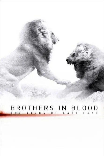 Póster de Brothers in Blood: The Lions of Sabi Sand