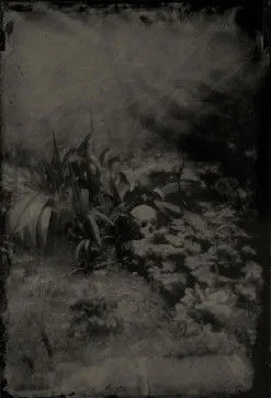 Maja Atanasijevic interpreta a  en Bugi i demoni