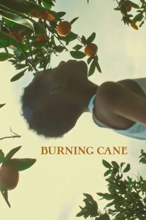 Wendell Pierce interpreta a Reverend Tillman en Burning Cane