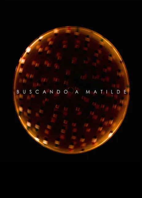 Póster de Buscando a Matilde