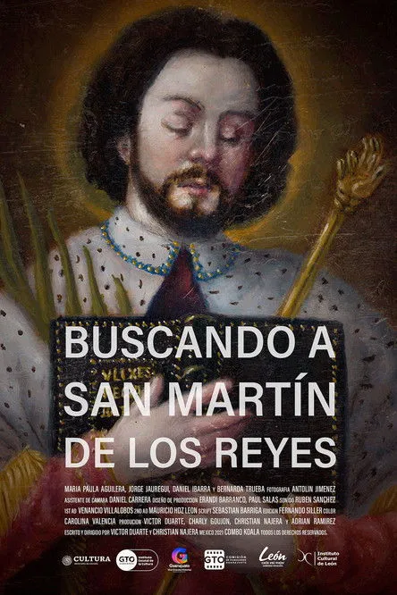 Póster de la película Buscando a San Martín de los Reyes