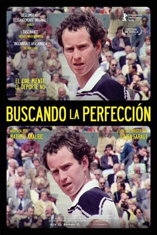 Póster de Buscando la perfección