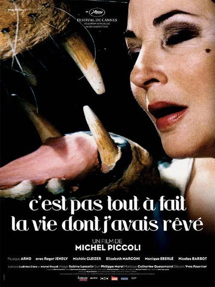 Póster de C'est pas tout à fait la vie dont j'avais rêvé