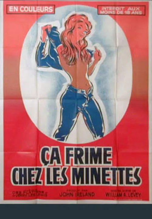Portada de Ça frime chez les minettes