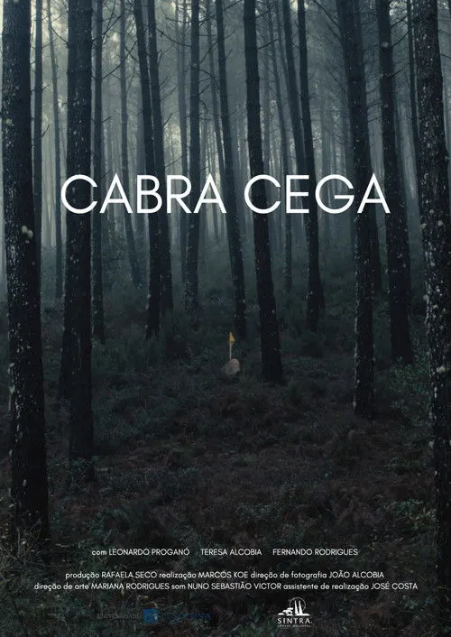 Póster de Cabra-Cega