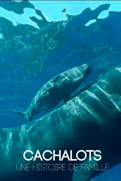 Tara Klassen interpreta a Narrateur en Cachalots, une histoire de famille