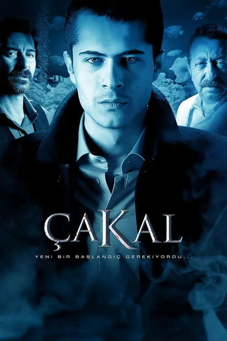 Póster de la película Çakal