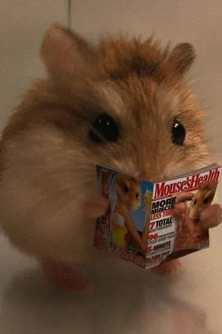 Luis Nieto interpreta a Professor Nieto en Carlitopolis