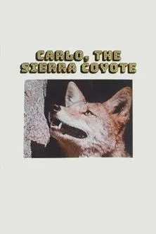 Hal Bokar interpreta a Driver en Carlo the Sierra Coyote