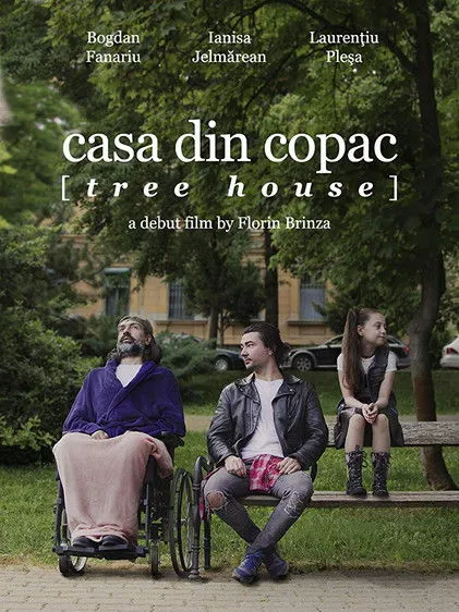 Póster de Casa din copac