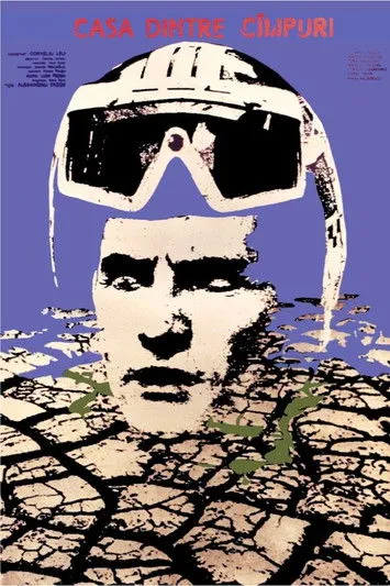 Lumini?a Sicoe interpreta a en Casa dintre cîmpuri