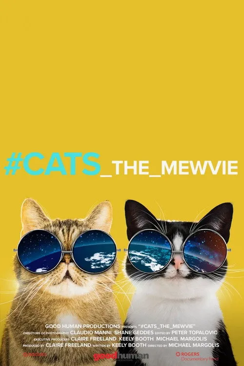 Póster de #cats_the_mewvie