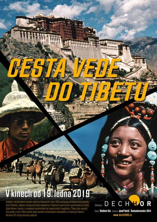 Póster de la película Cesta vede do Tibetu