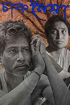 Póster de Chaaknoiya