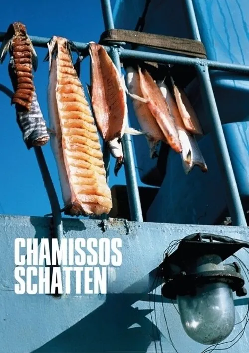 Póster de Chamissos Schatten