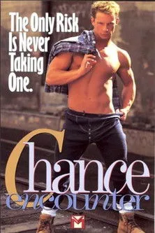 Póster de la película Chance Encounter