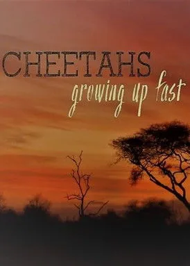 Póster de Cheetahs: Growing Up Fast