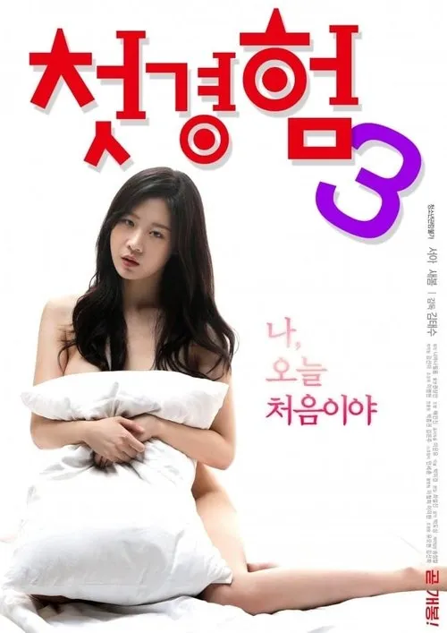 Póster de 첫경험 3