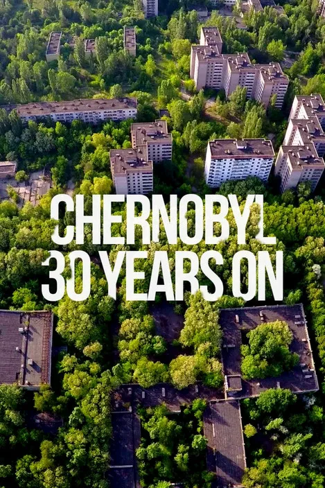 Vladimir Usatenko interpreta a Himself - Chernobyl Liquidator en Chernobyl: 30 años después