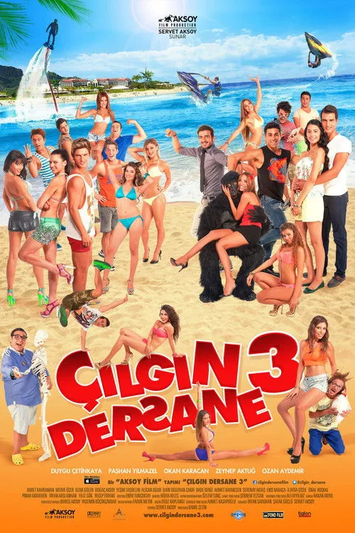 Póster de Çılgın Dersane 3