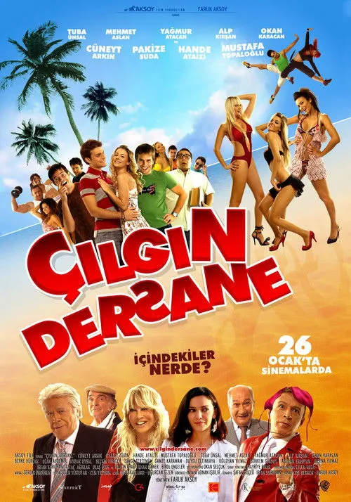 Póster de Çılgın Dersane
