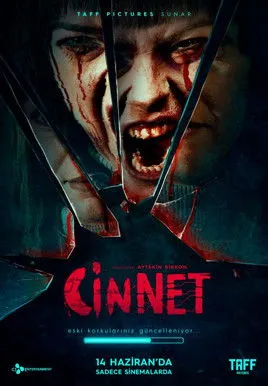 Póster de la película Cinnet