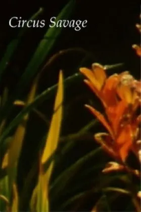 Póster de Circus Savage