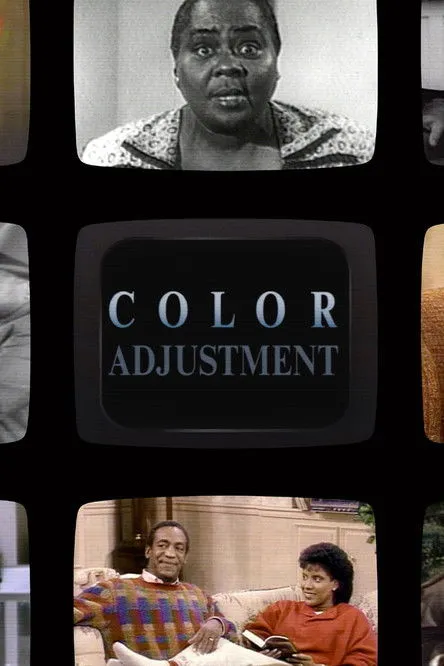 Ruby Dee interpreta a Narrator en Color Adjustment