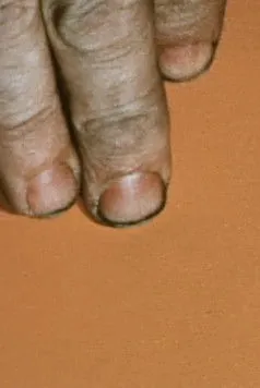 Richard Serra interpreta a en Color Aid