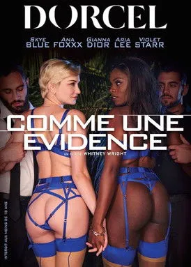 Póster de Comme une évidence
