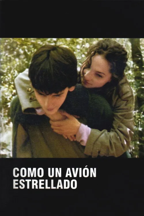 Póster de Como un avión estrellado