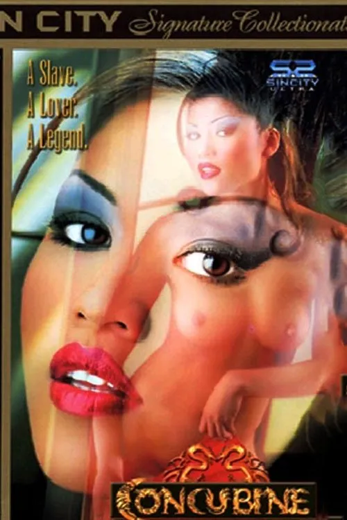 Póster de Concubine