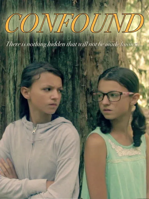 Póster de Confound