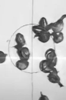 Laurent Petitgand interpreta a  en Copie Film