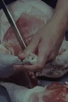 Gianfranco Baruchello interpreta a en Costretto a scomparire