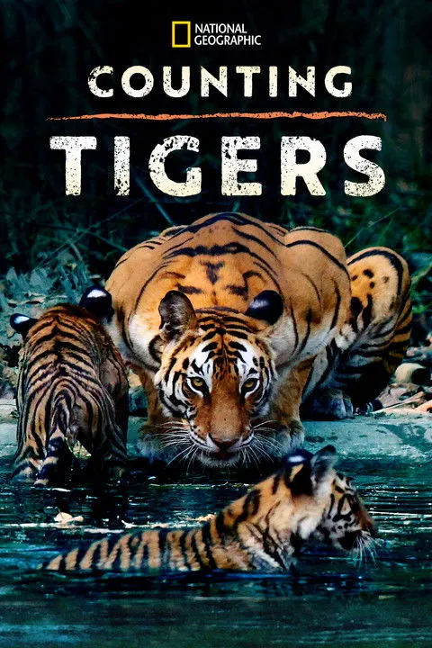 Póster de la película Counting Tigers