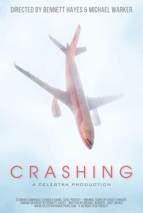 Póster de Crashing