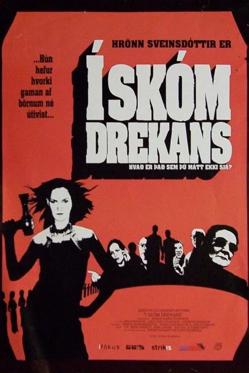 Póster de Í skóm drekans