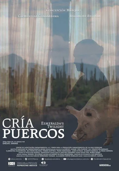 Póster de Cría puercos